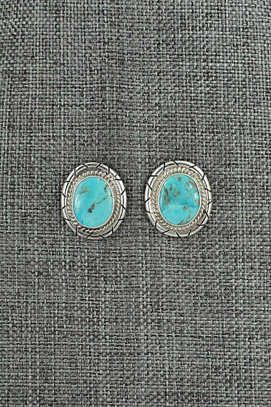 Turquoise & Sterling Silver Earrings - Peggy Skeets