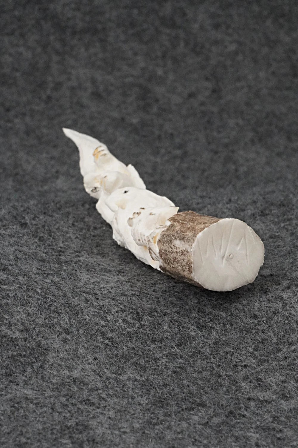 Eagle Zuni Fetish Carving - Lewis Malie