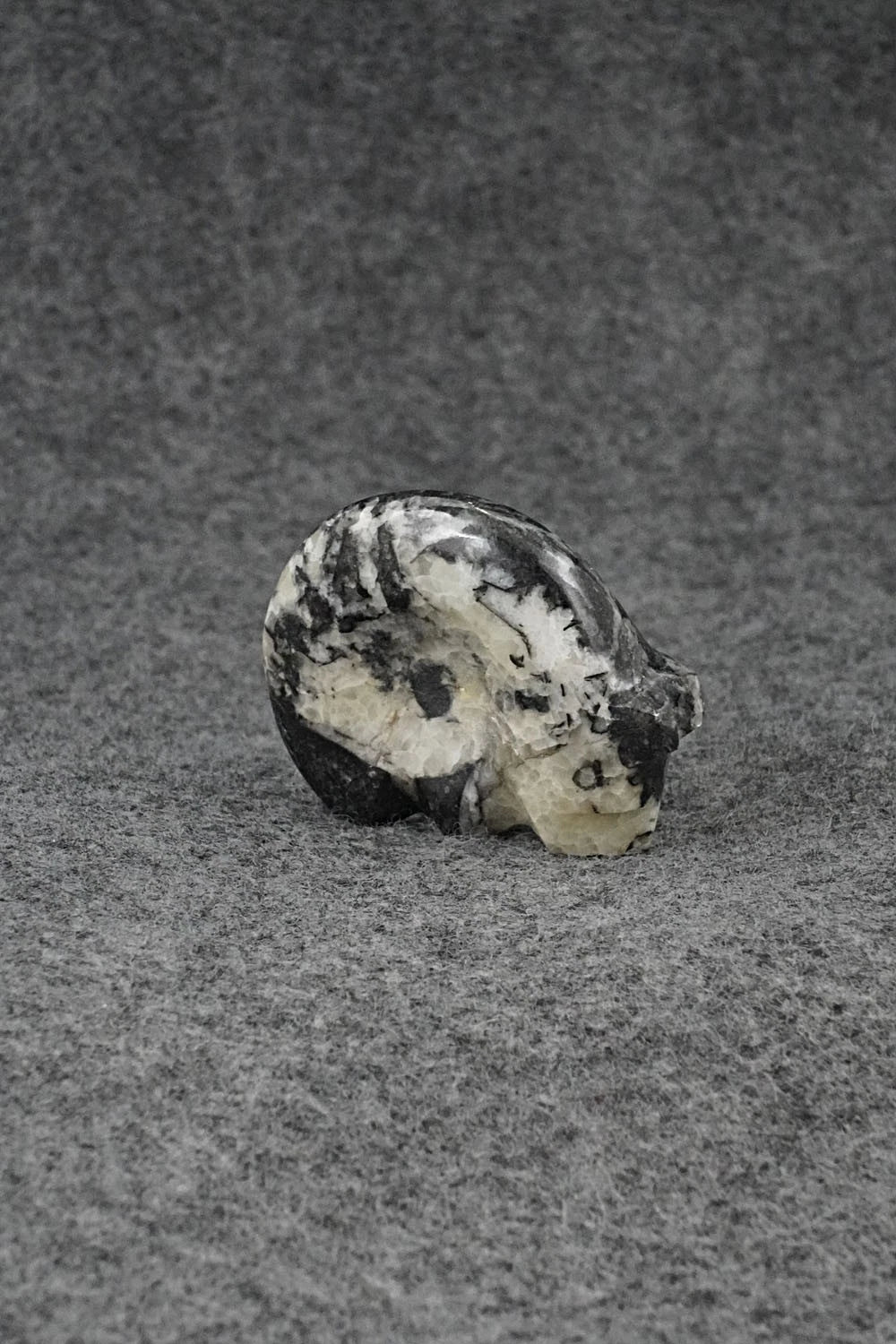 Bear Zuni Fetish Carving - Kenric Laiwekete