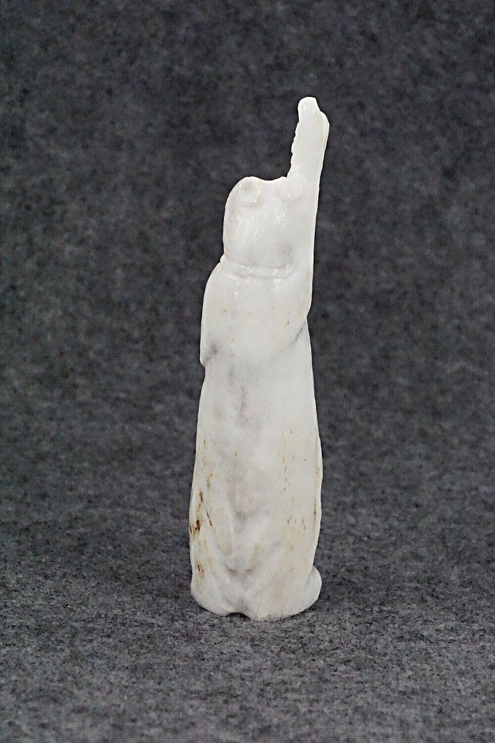 Bear Zuni Fetish Carving - Maxx Laate
