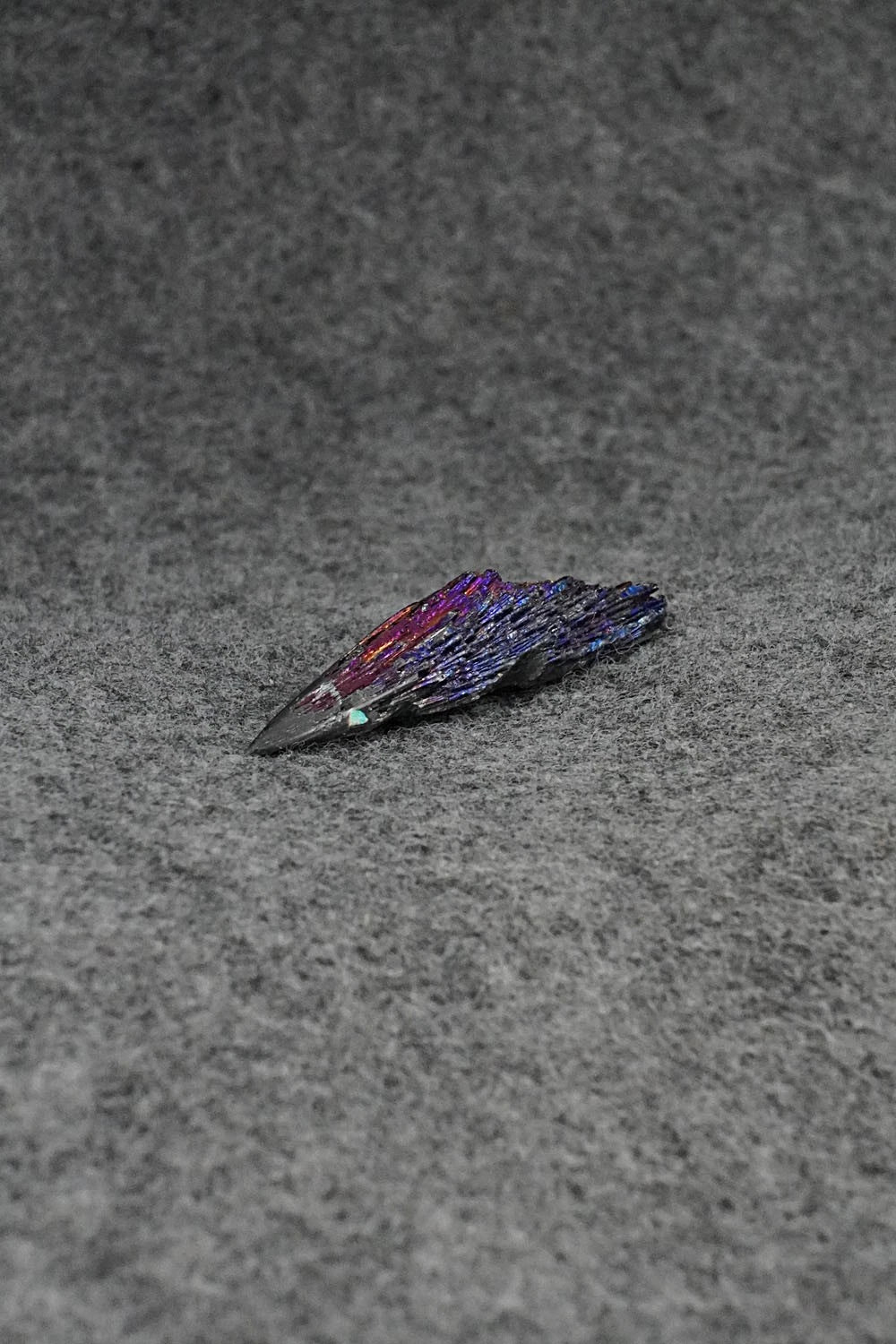 Porcupine Zuni Fetish Carving - Abby Panteah Quam