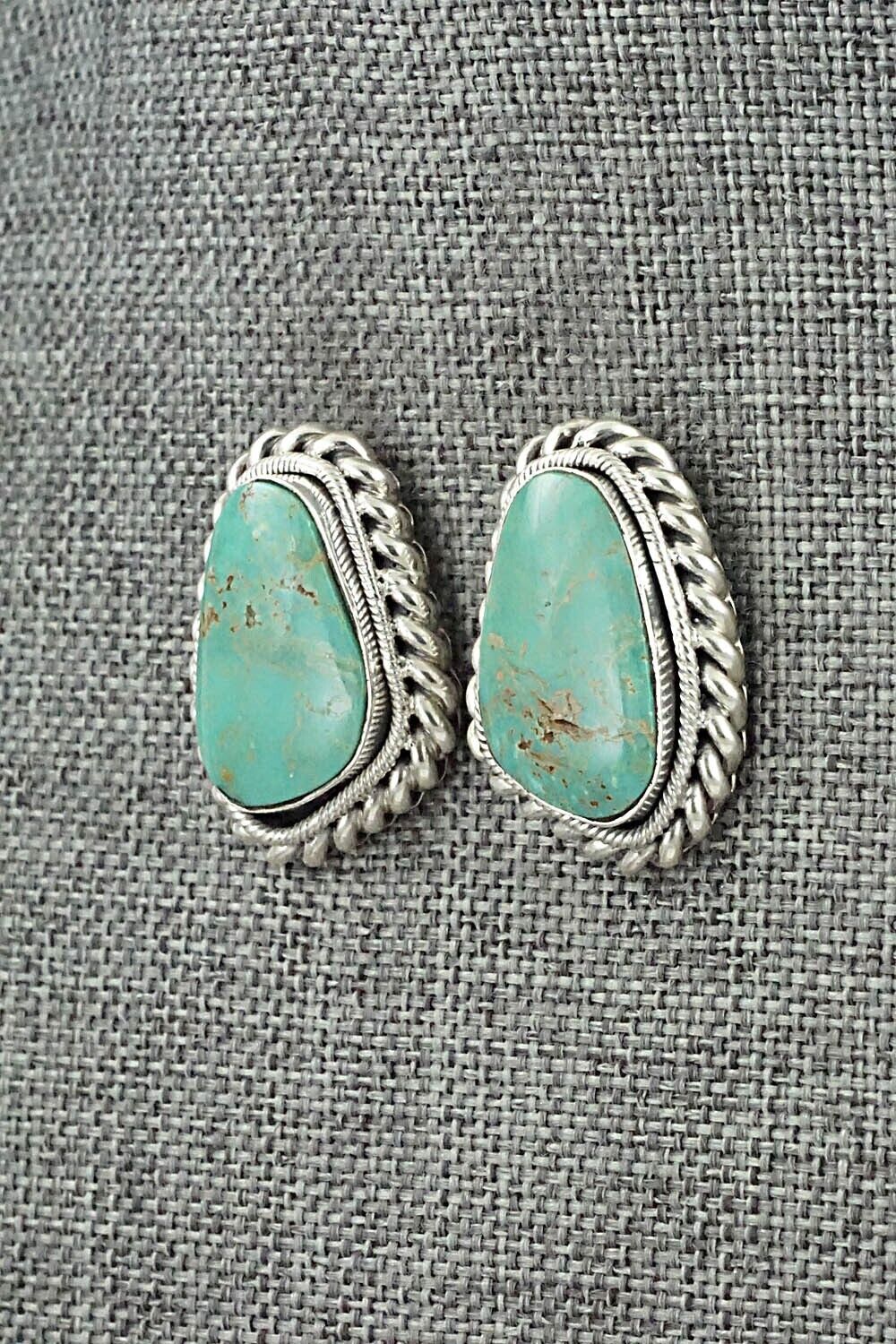 Turquoise & Sterling Silver Earrings - Sharon McCarthy