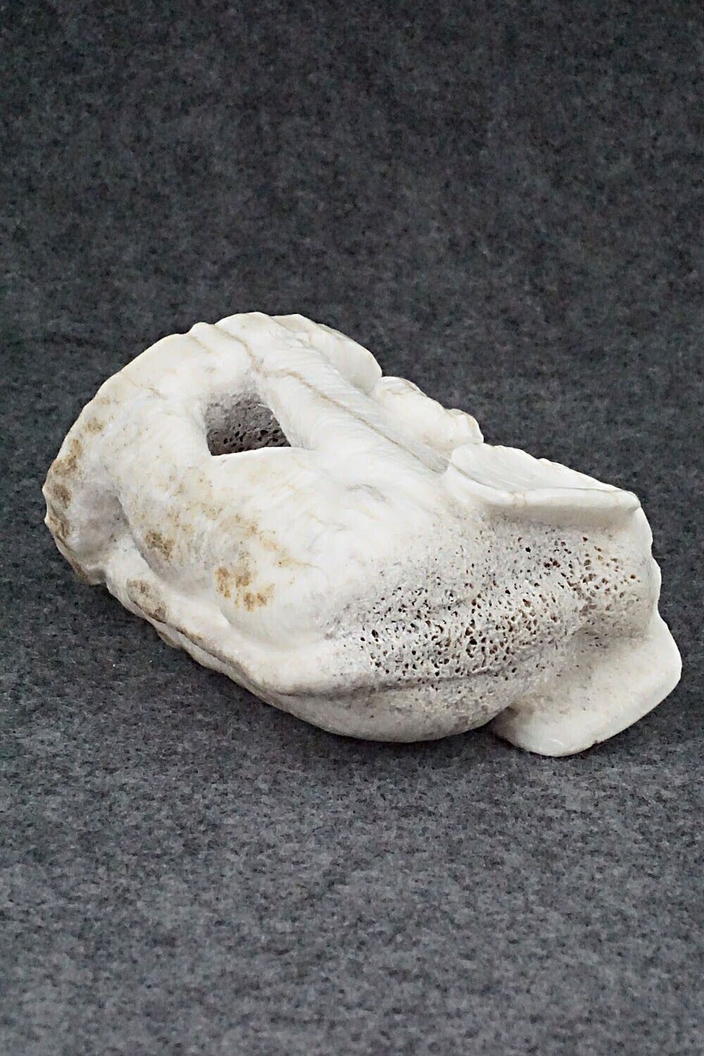 Elephant Zuni Fetish Carving - Maxx Laate