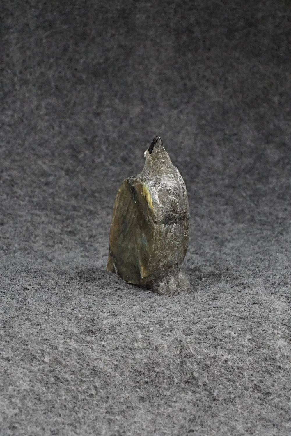Bird Zuni Fetish Carving - Ruben Najera