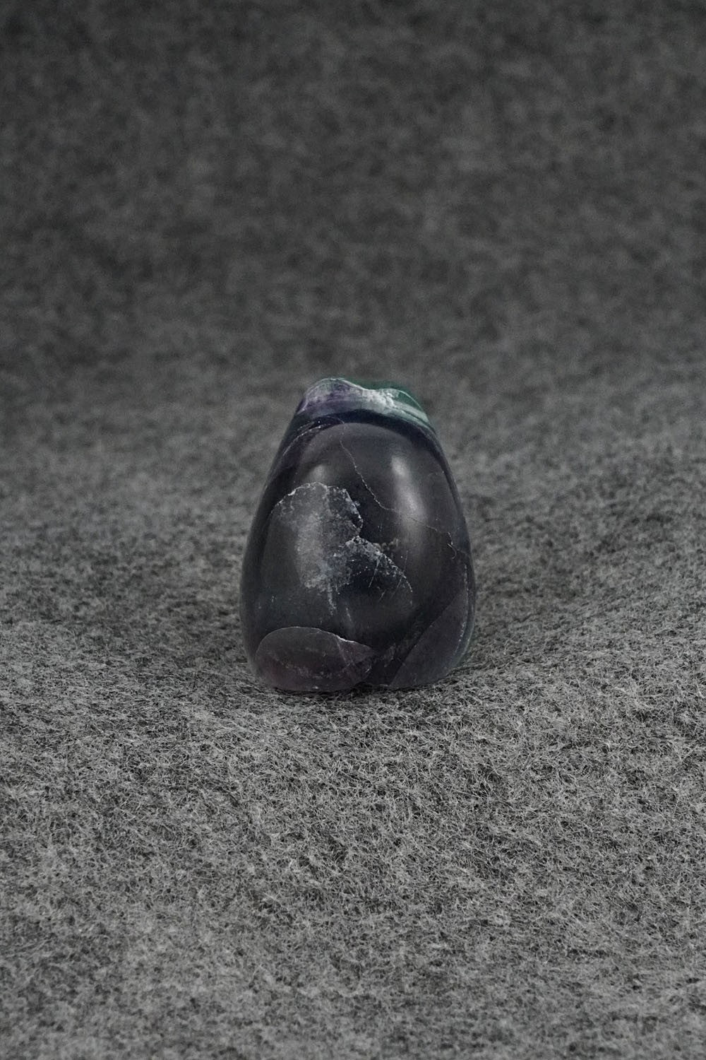 Bear Zuni Fetish Carving - Abby Quam Panteah