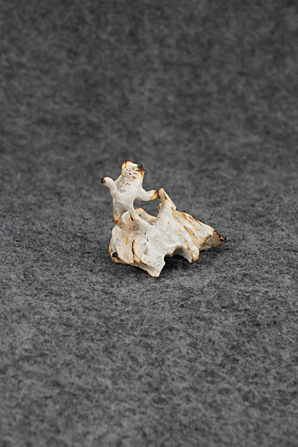 Cat Zuni Fetish Carving - Ruben Najera