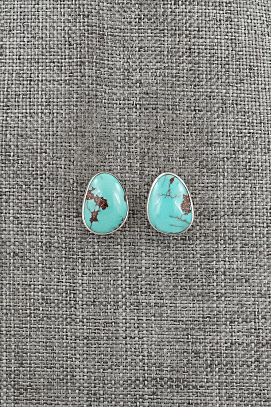 Turquoise & Sterling Silver Earrings - Eugene Gruber