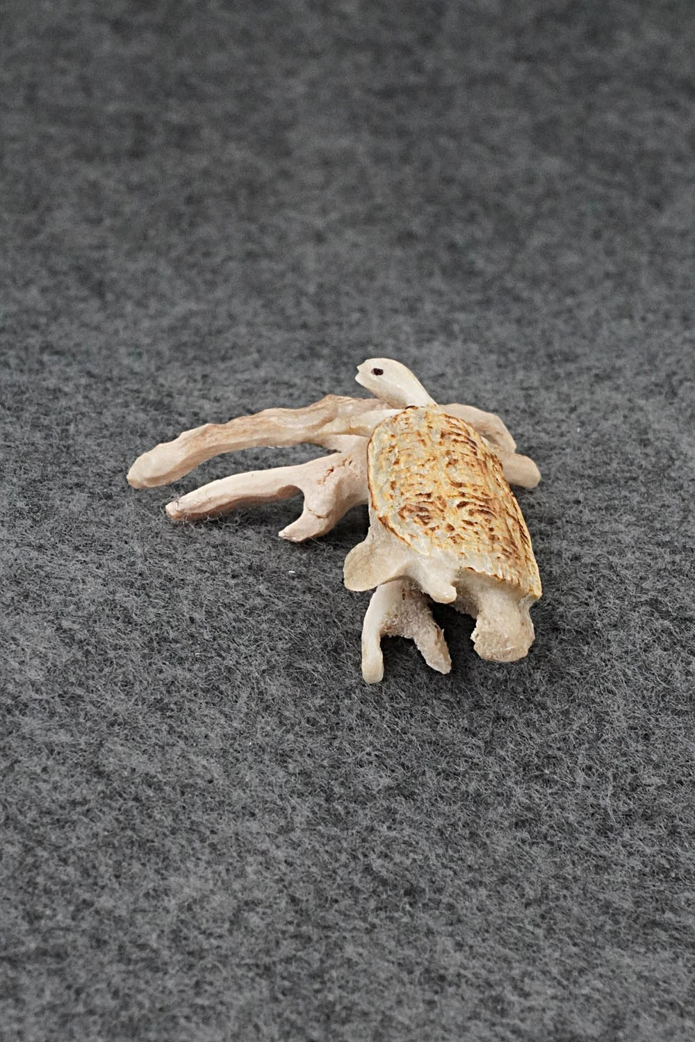 Turtle Zuni Fetish Carving - Ruben Najera