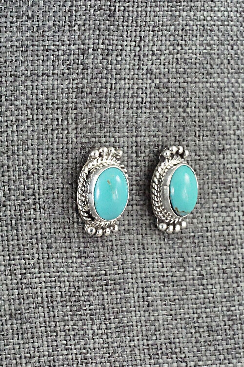 Turquoise & Sterling Silver Earrings - Jan Mariano