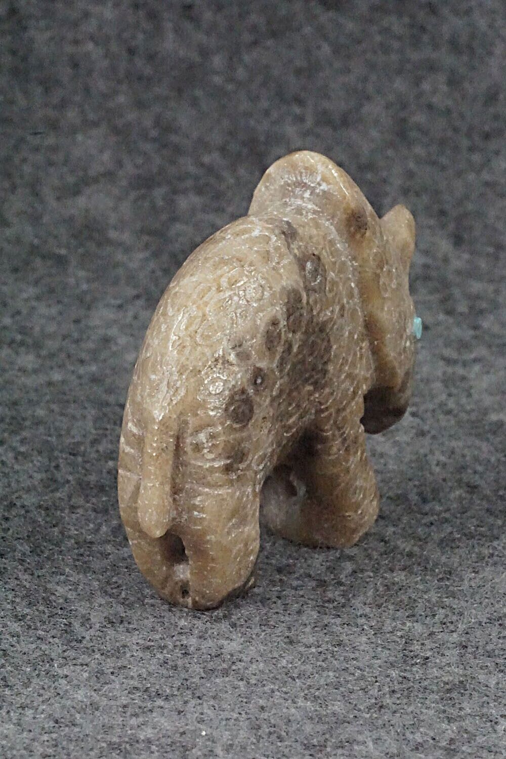 Triceratops Zuni Fetish - Derrick Kaamasee