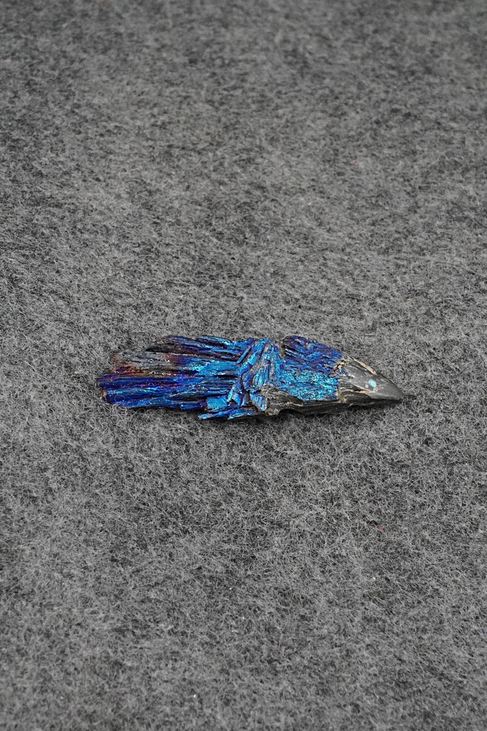 Porcupine Zuni Fetish Carving - Abby Panteah Quam