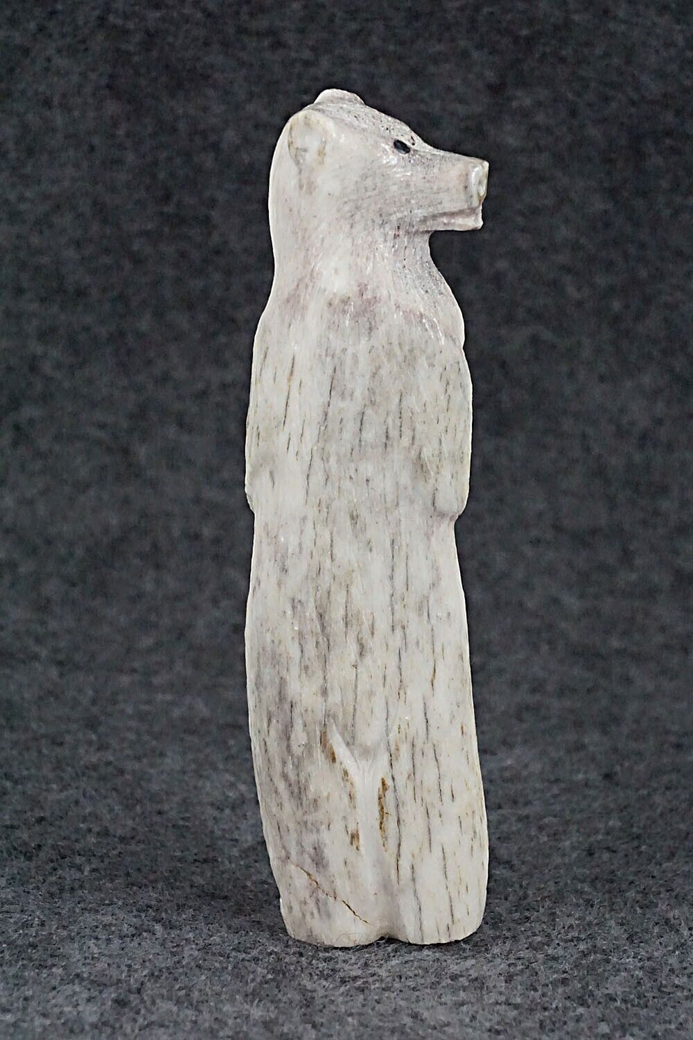 Bear Zuni Fetish Carving - Maxx Laate