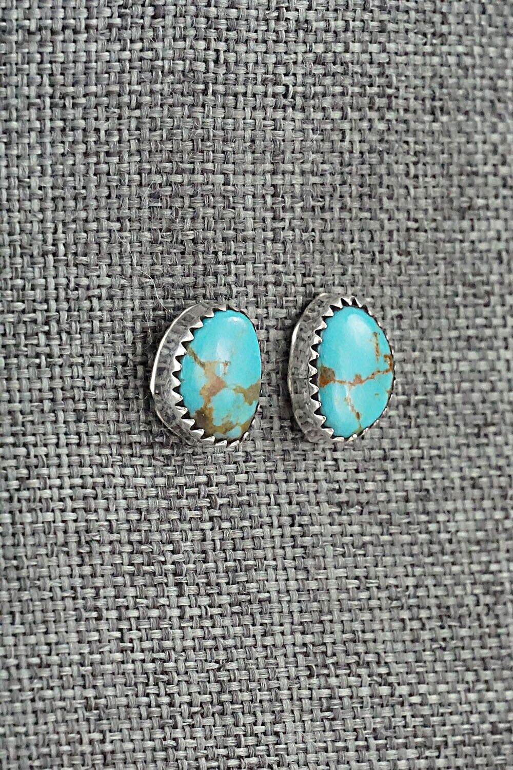 Turquoise & Sterling Silver Earrings - Theresa Smith
