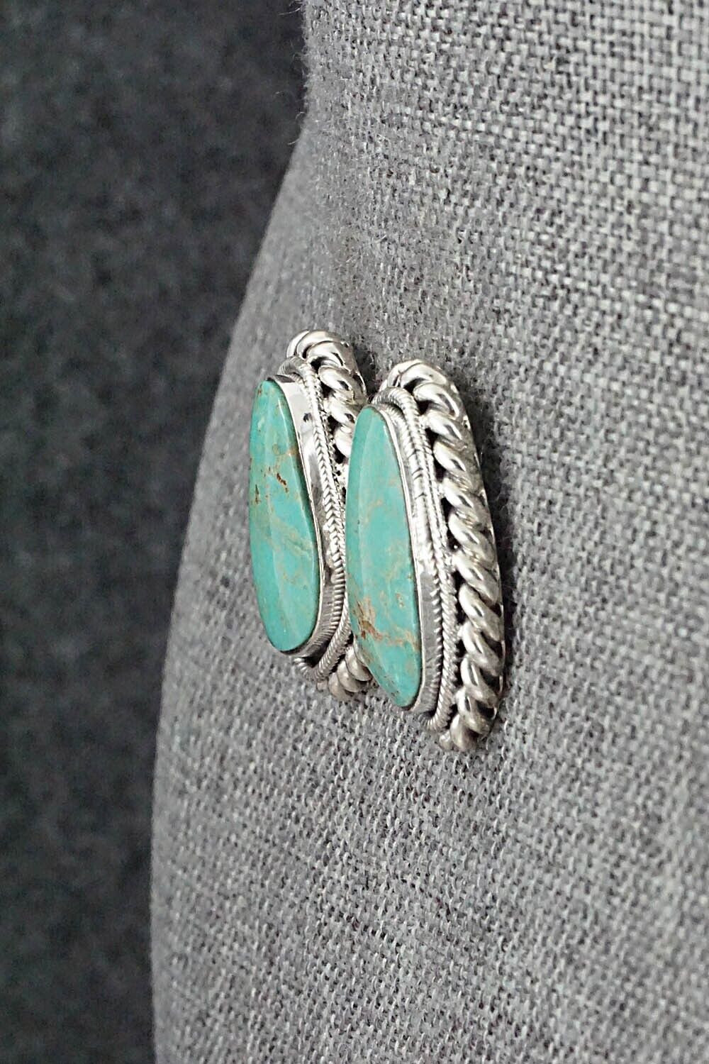 Turquoise & Sterling Silver Earrings - Sharon McCarthy