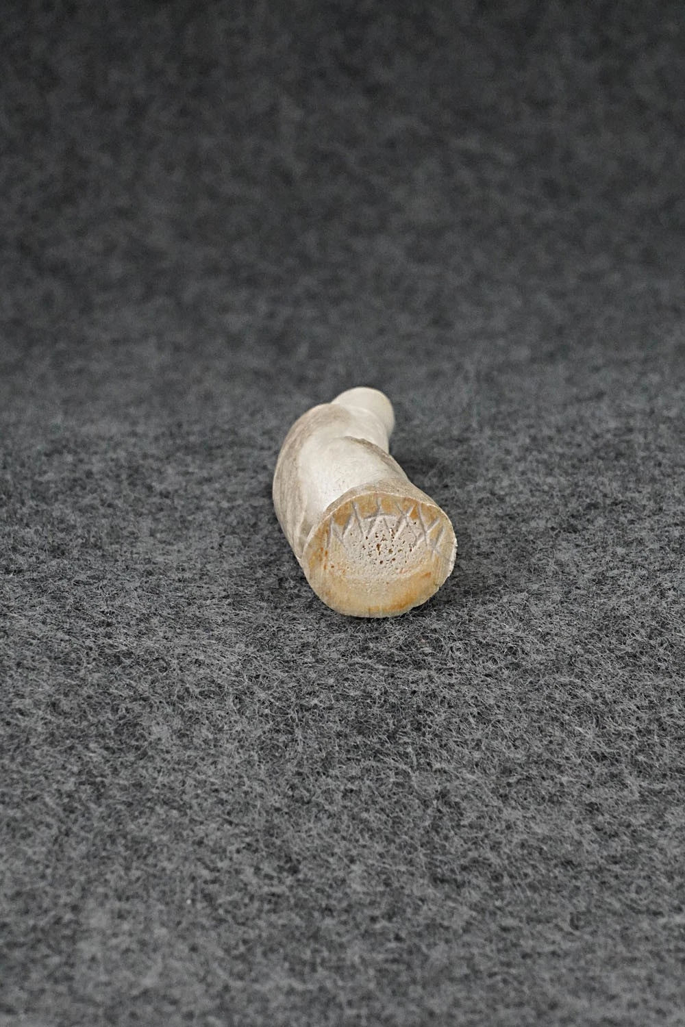 Eagle Zuni Fetish Carving - Maxx Laate