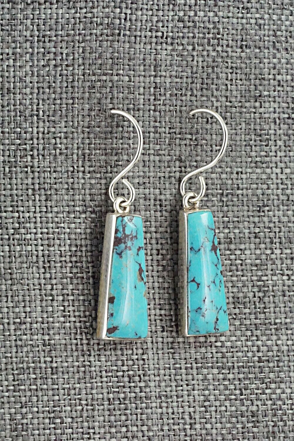 Turquoise & Sterling Silver Earrings - Cathy Webster