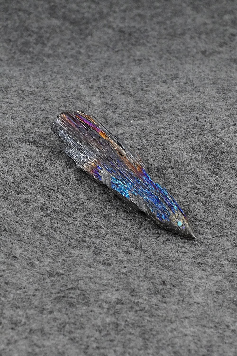 Roadrunner Zuni Fetish Carving - Abby Quam Panteah