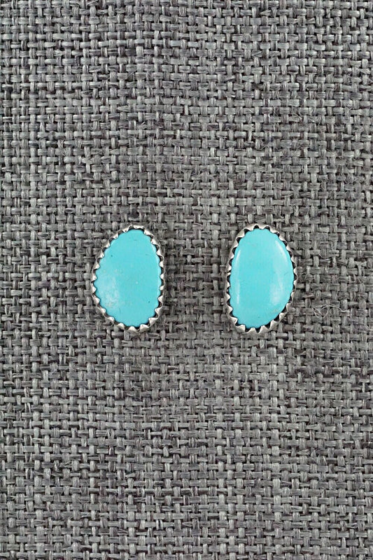 Turquoise & Sterling Silver Earrings - Annie Spencer