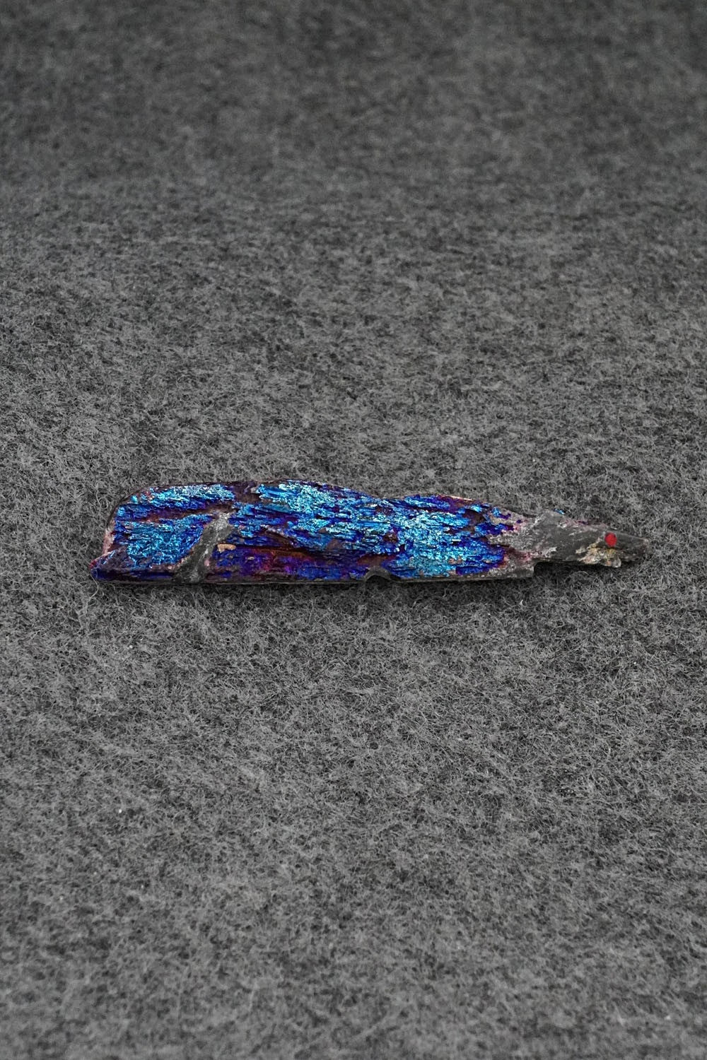 Wolf Zuni Fetish Carving - Abby Quam Panteah