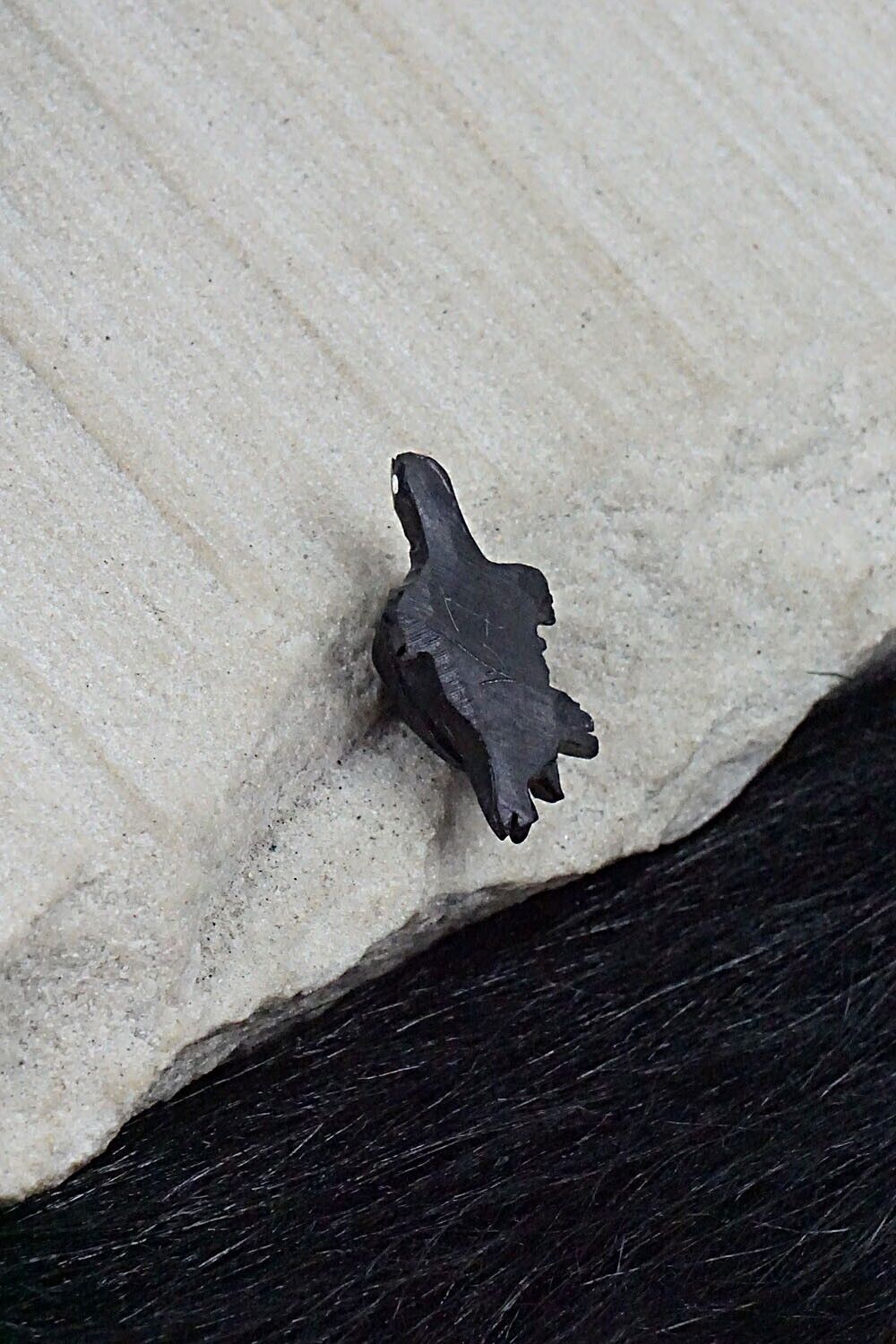 Tiny Turtle Zuni Fetish Carving - Vander Tsethlikai