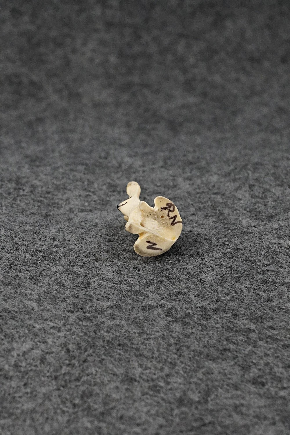 Rabbit Zuni Fetish Carving - Ruben Najera