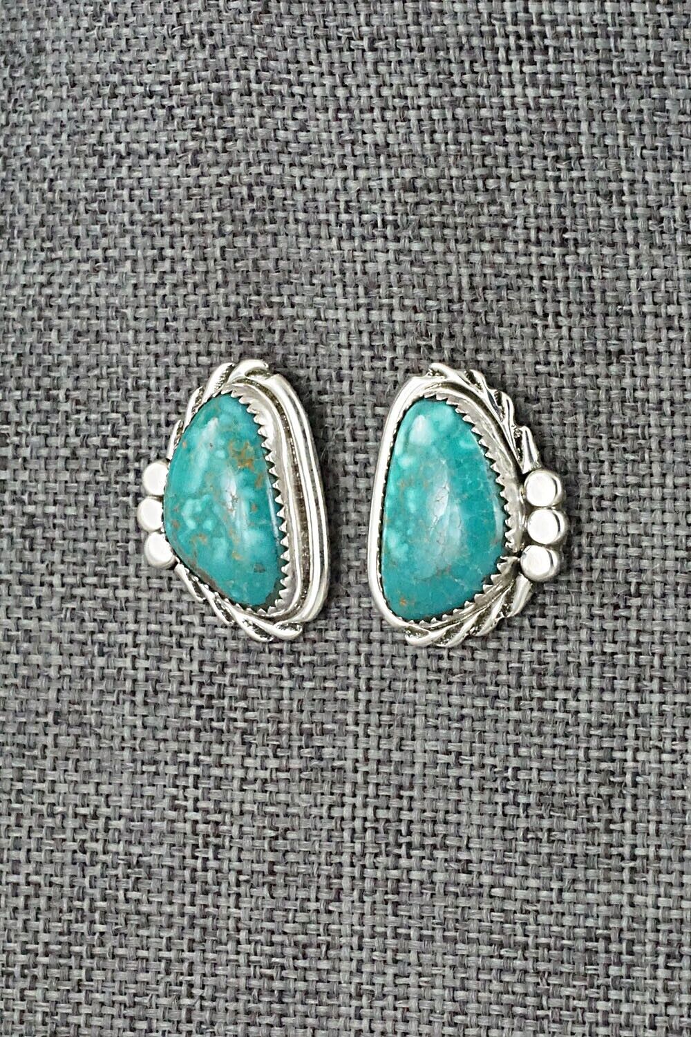 Turquoise and Sterling Silver Earrings - Delores Cadman