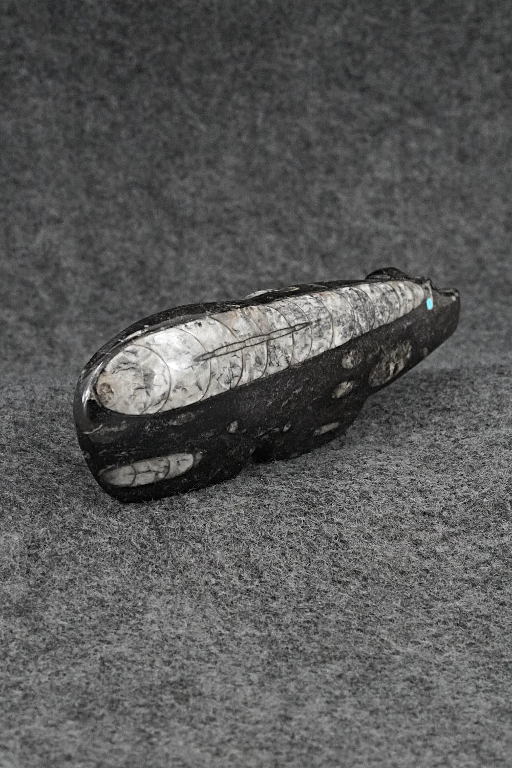 Bear Zuni Fetish Carving - Bernard Laiwakete