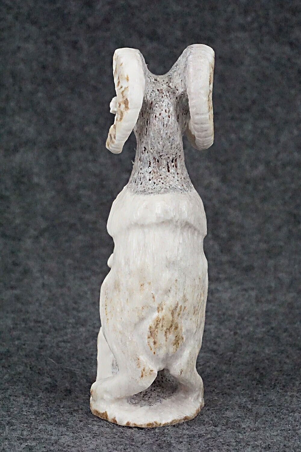 Ram Zuni Fetish Carving - Maxx Laate