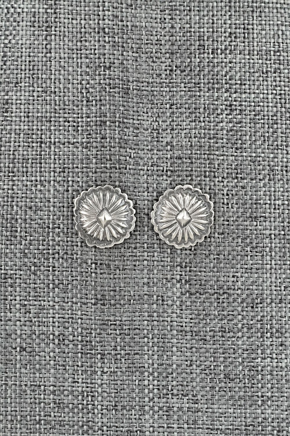 Sterling Silver Earrings - Terry Charlie