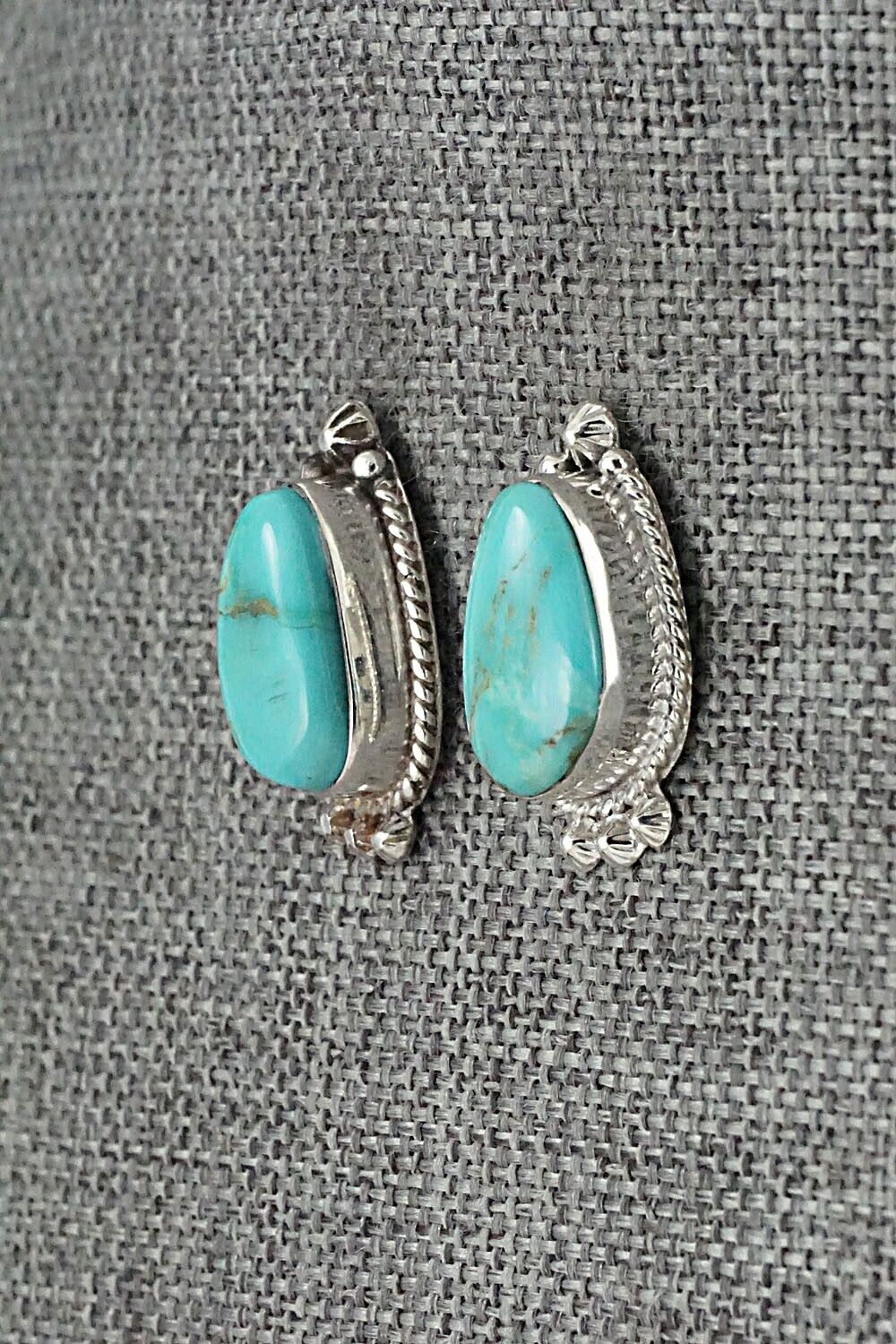 Turquoise and Sterling Silver Earrings - Sharon McCarthy