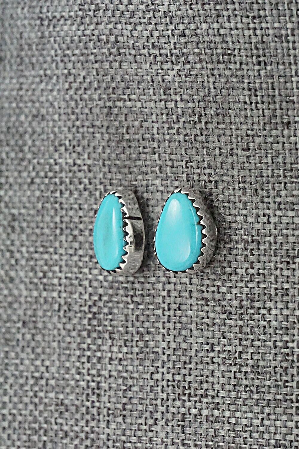 Turquoise & Sterling Silver Earrings - Theresa Smith