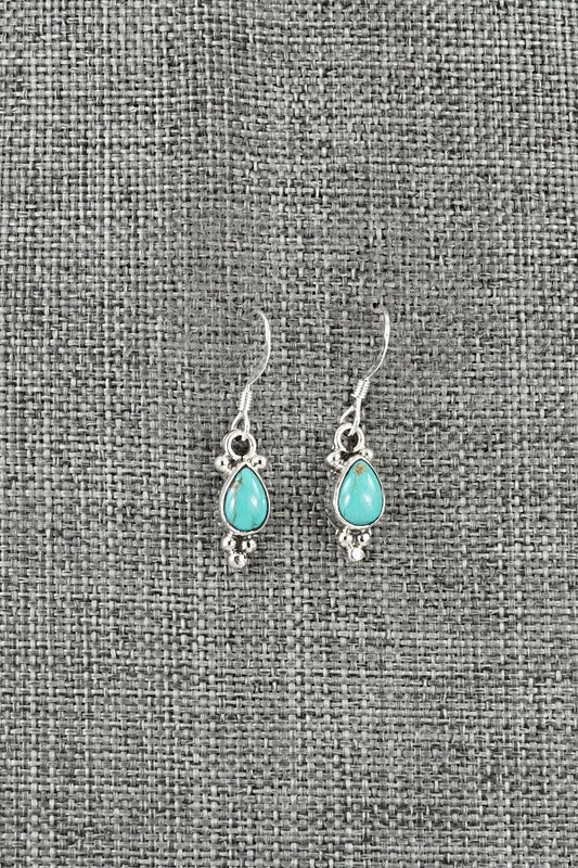 Turquoise and Sterling Silver Earrings - Sharon McCarthy