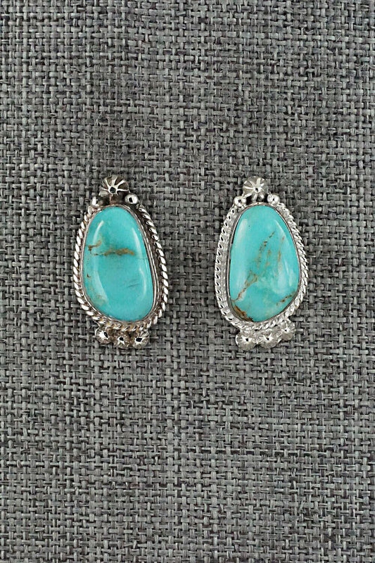 Turquoise and Sterling Silver Earrings - Sharon McCarthy