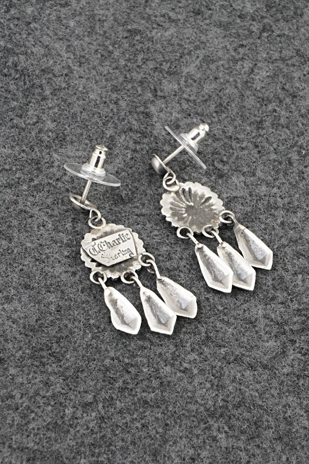 Sterling Silver Earrings - Terry Charlie
