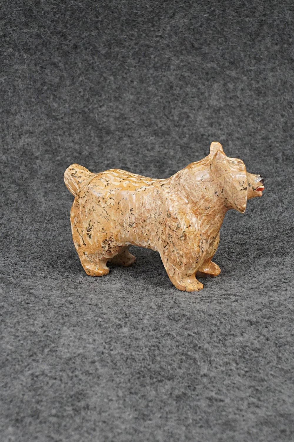 Bobcat Zuni Fetish Carving - Freddie Leekya