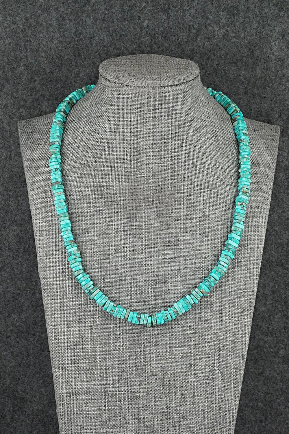 Turquoise & Sterling Silver Necklace 18" - Doreen Jake