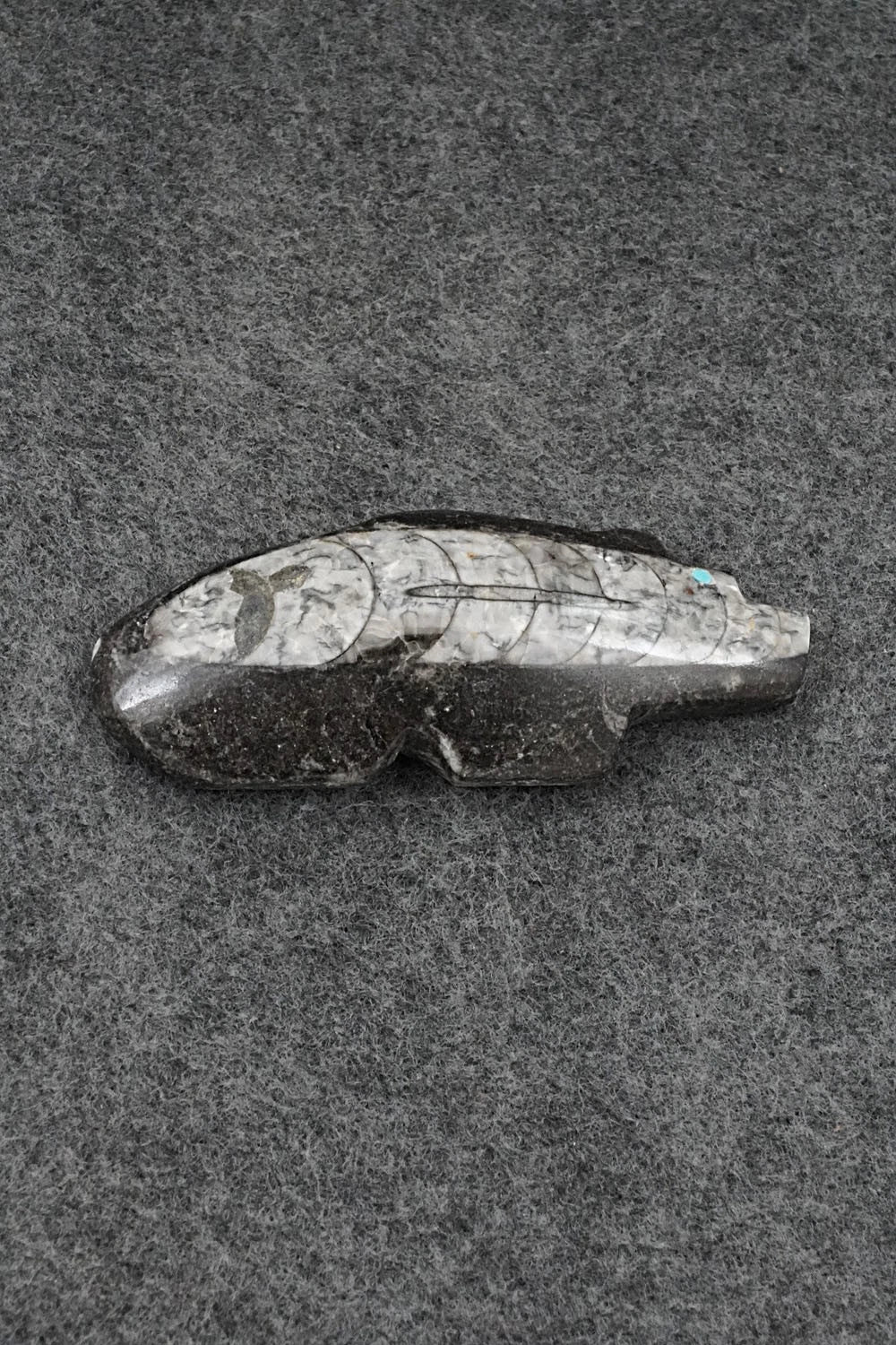 Bear Zuni Fetish Carving - Bernard Laiwekete