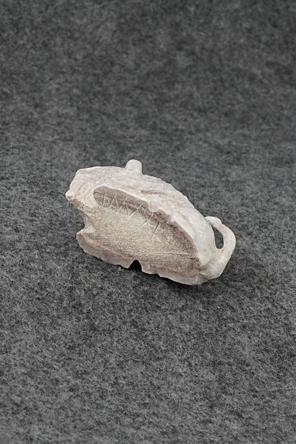Buffalo Zuni Fetish Carving - Maxx Laate