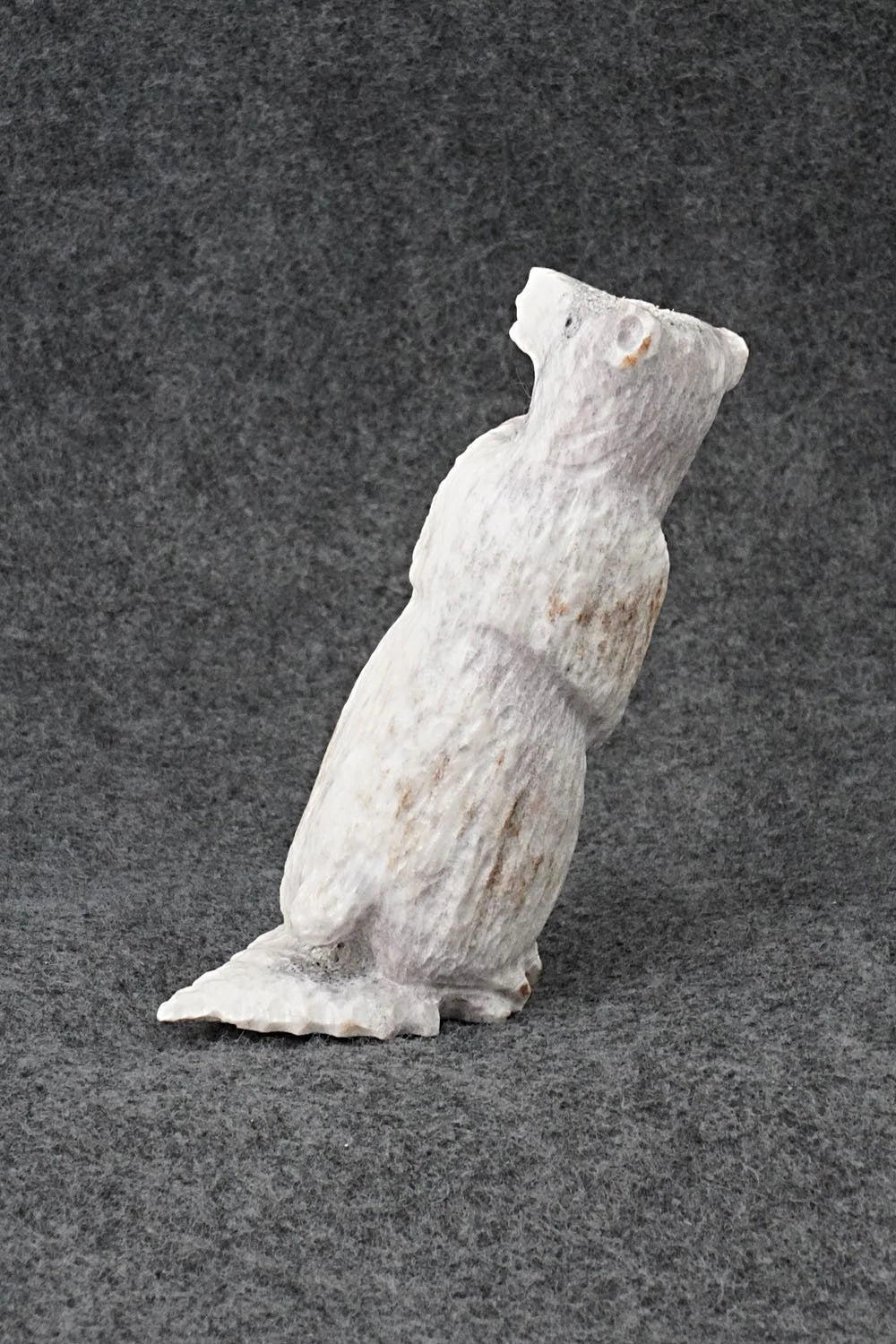 Bear Zuni Fetish Carving - Maxx Laate