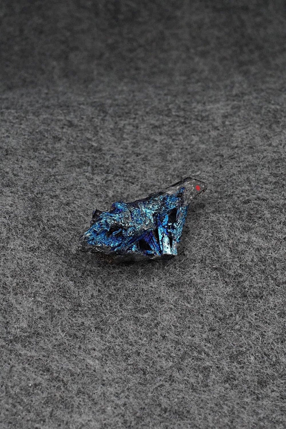 Eagle Zuni Fetish Carving - Abby Quam Panteah