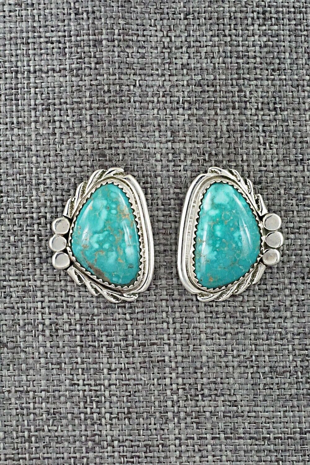 Turquoise and Sterling Silver Earrings - Delores Cadman