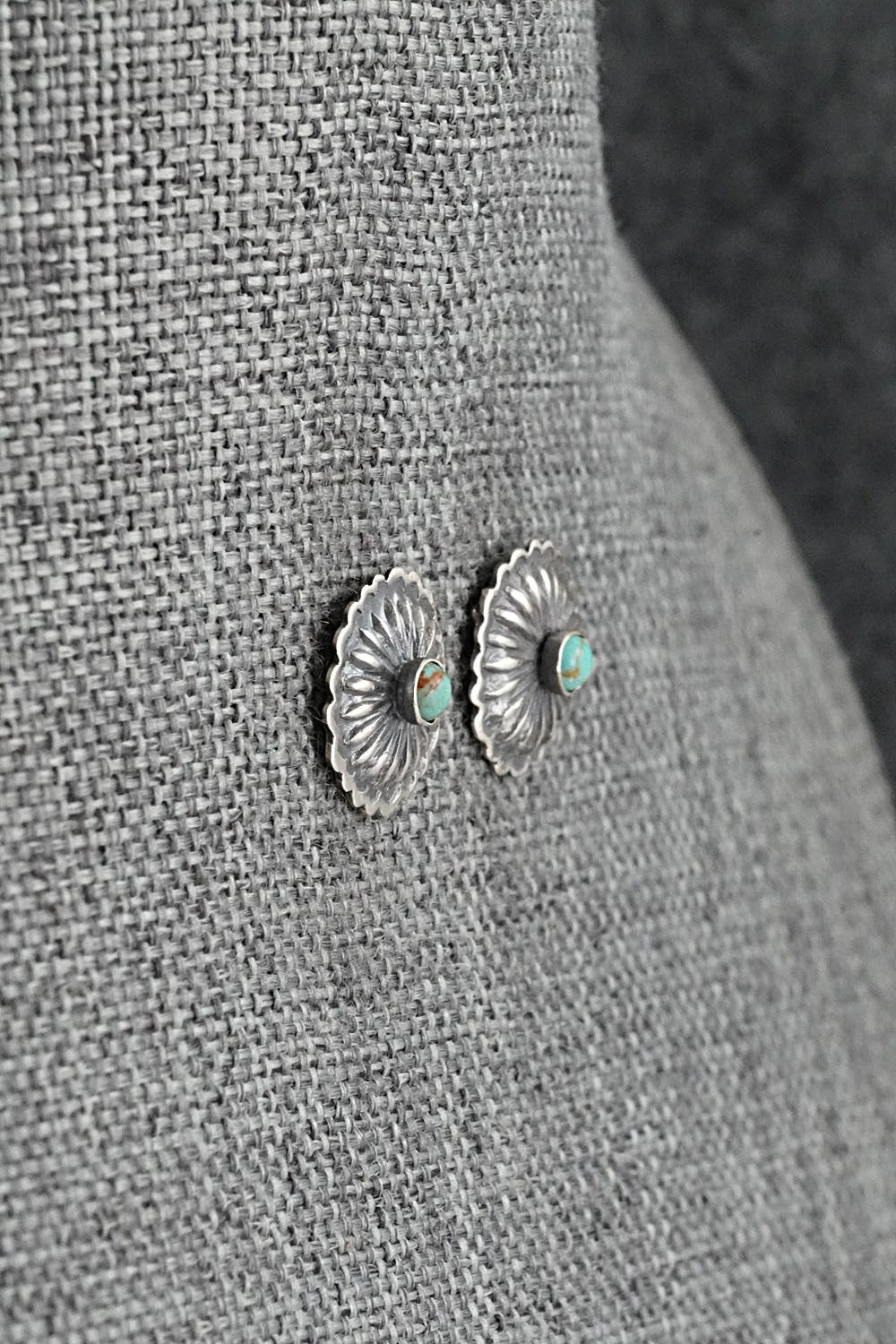 Turquoise & Sterling Silver Earrings - Terry Charlie
