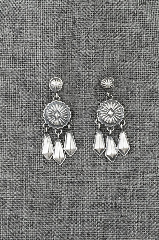 Sterling Silver Earrings - Terry Charlie