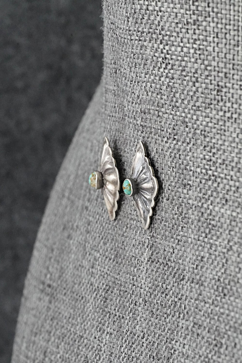 Turquoise & Sterling Silver Earrings - Terry Charlie