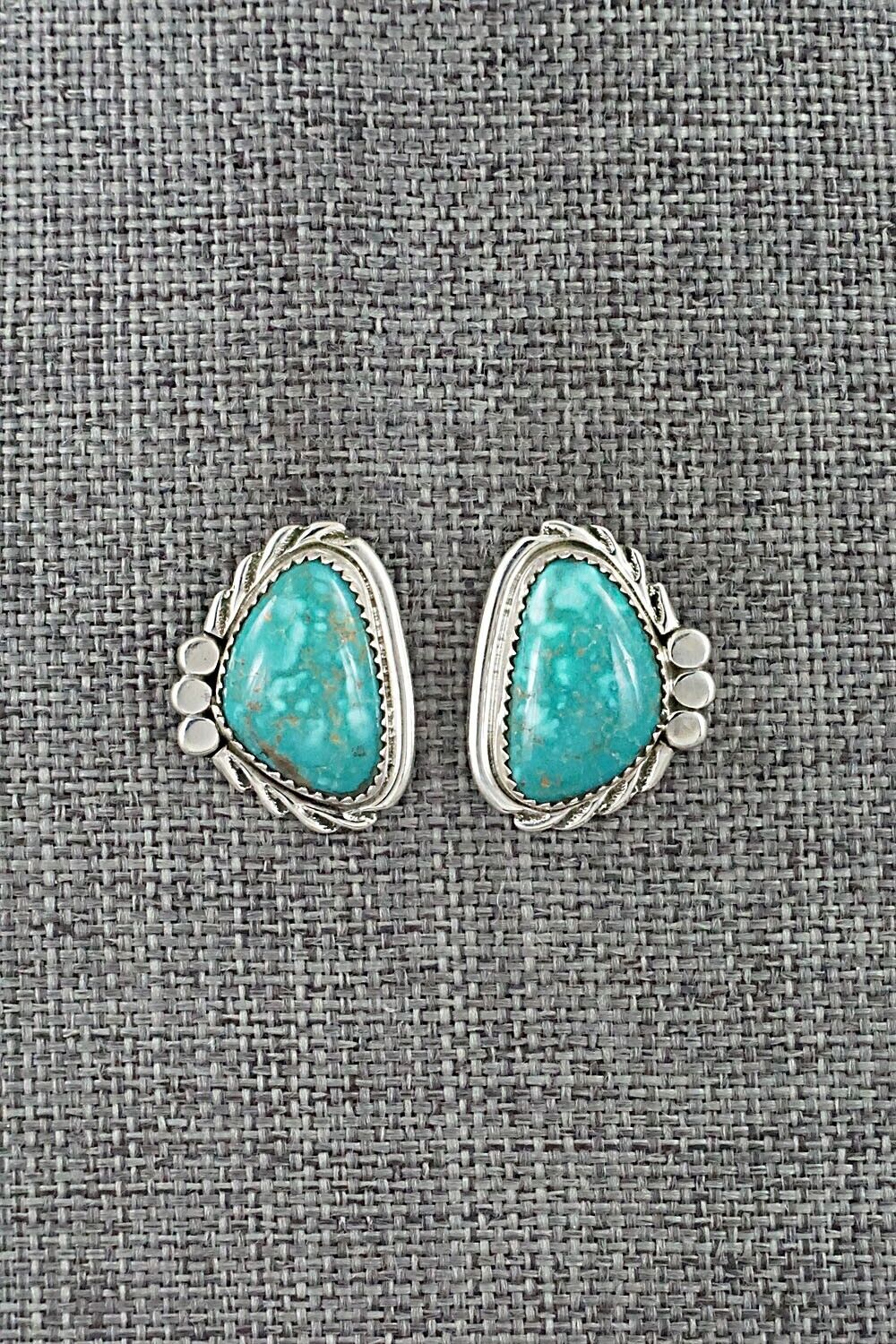 Turquoise and Sterling Silver Earrings - Delores Cadman