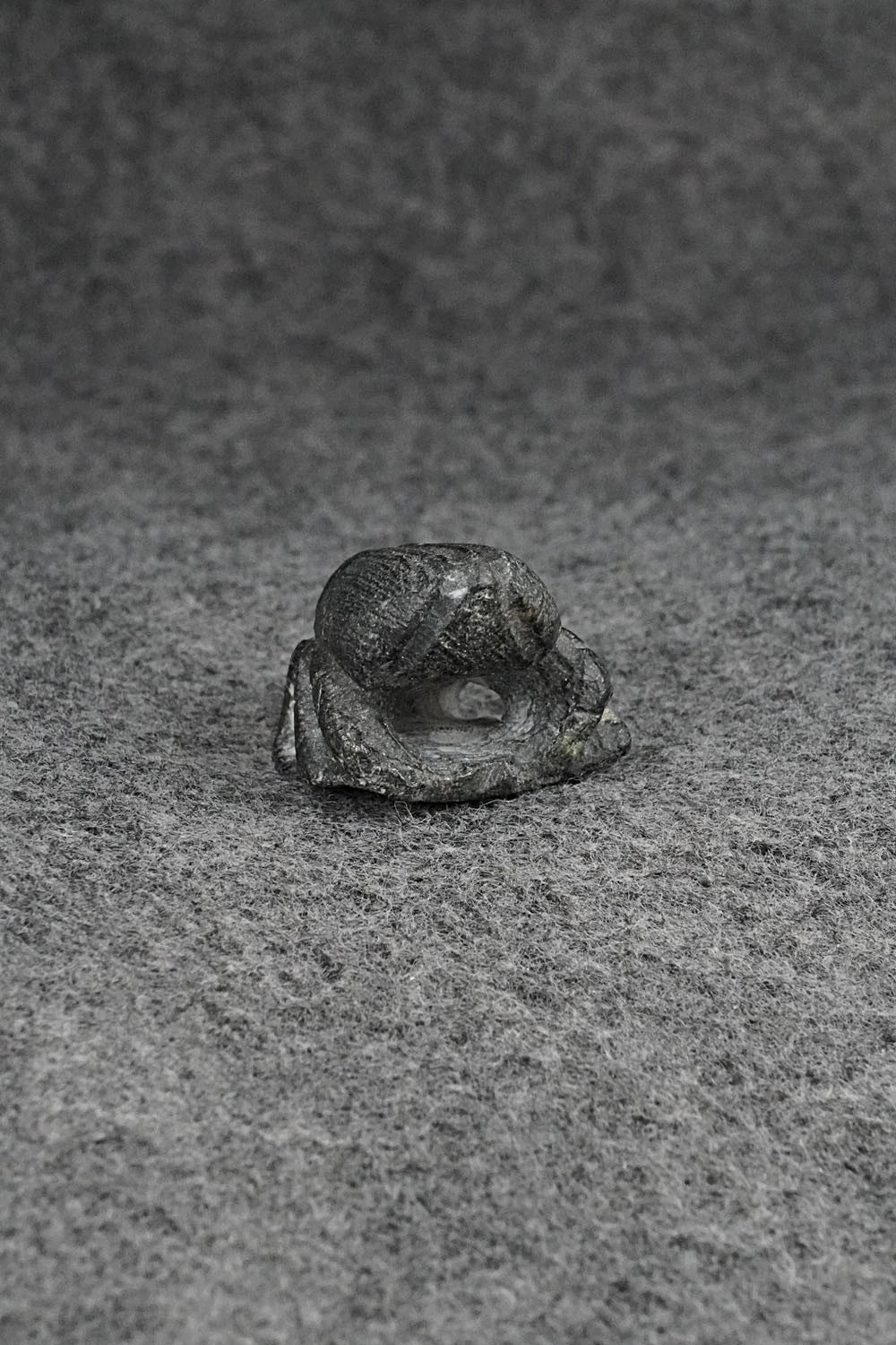 Beetle Zuni Fetish Carving - Derrick Kammasee