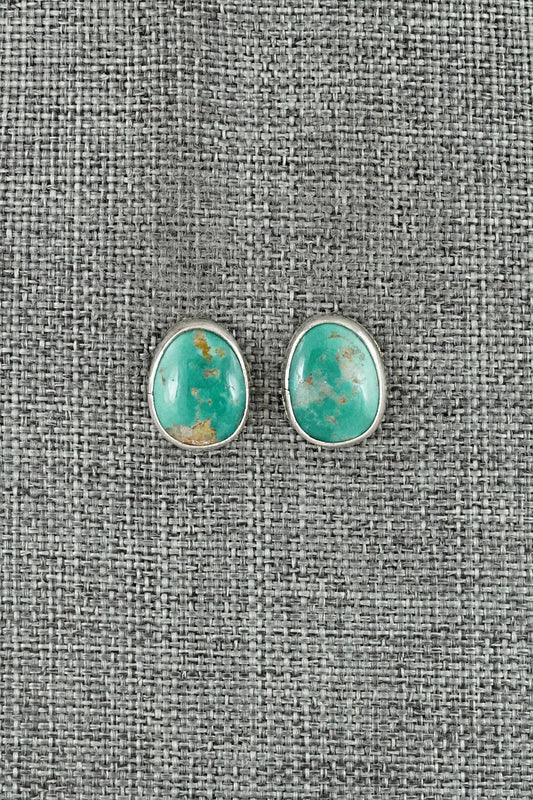 Turquoise & Sterling Silver Earrings - Rosemary Saunders