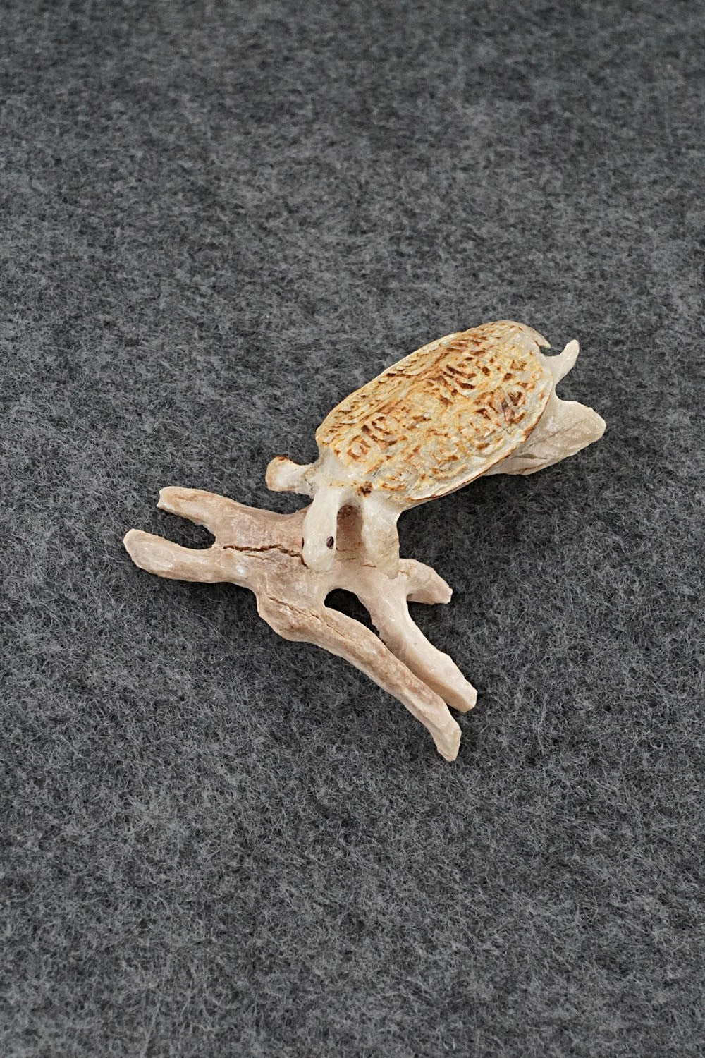 Turtle Zuni Fetish Carving - Ruben Najera