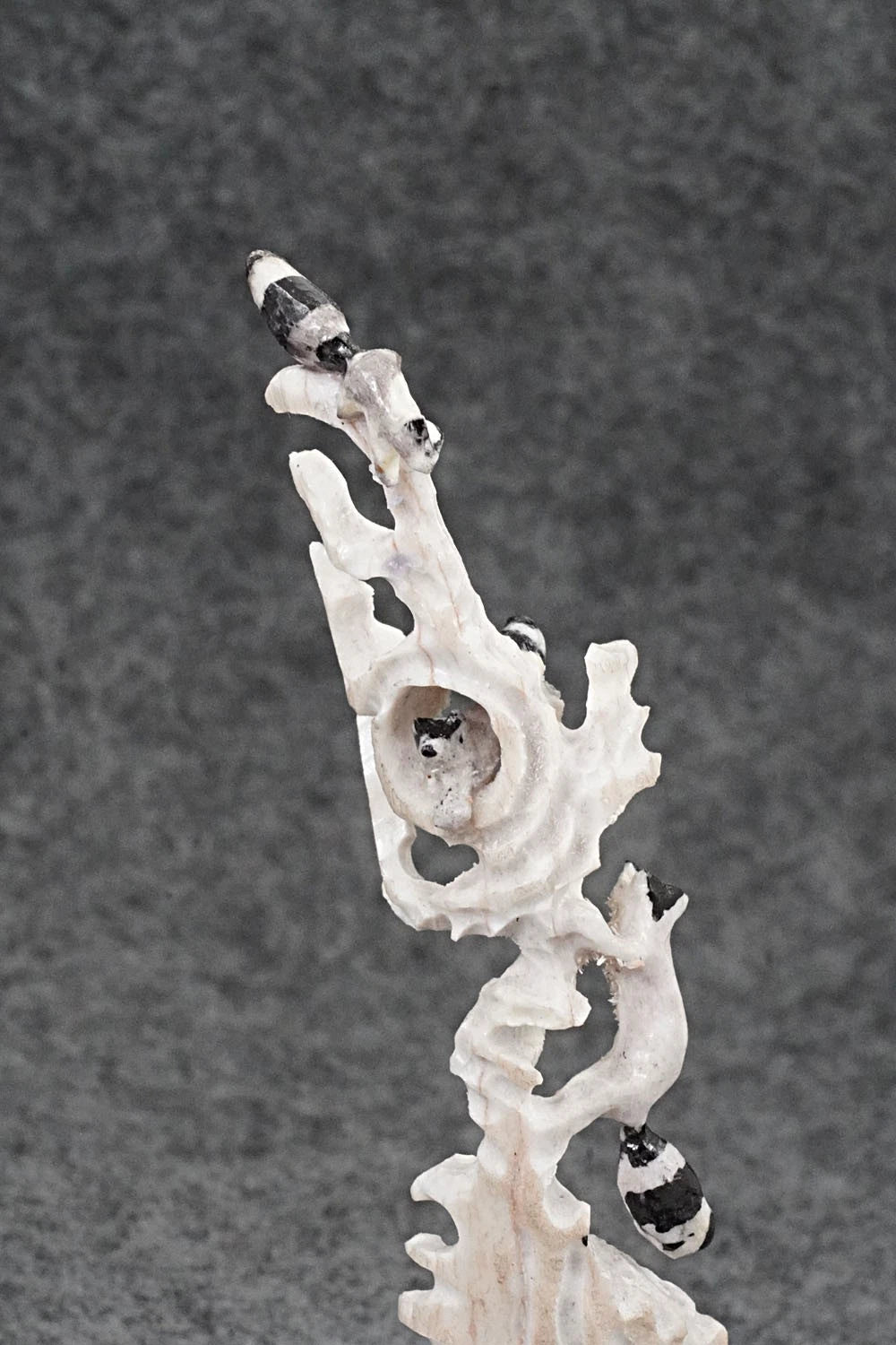 Raccoon Zuni Fetish Carving - Ruben Najera