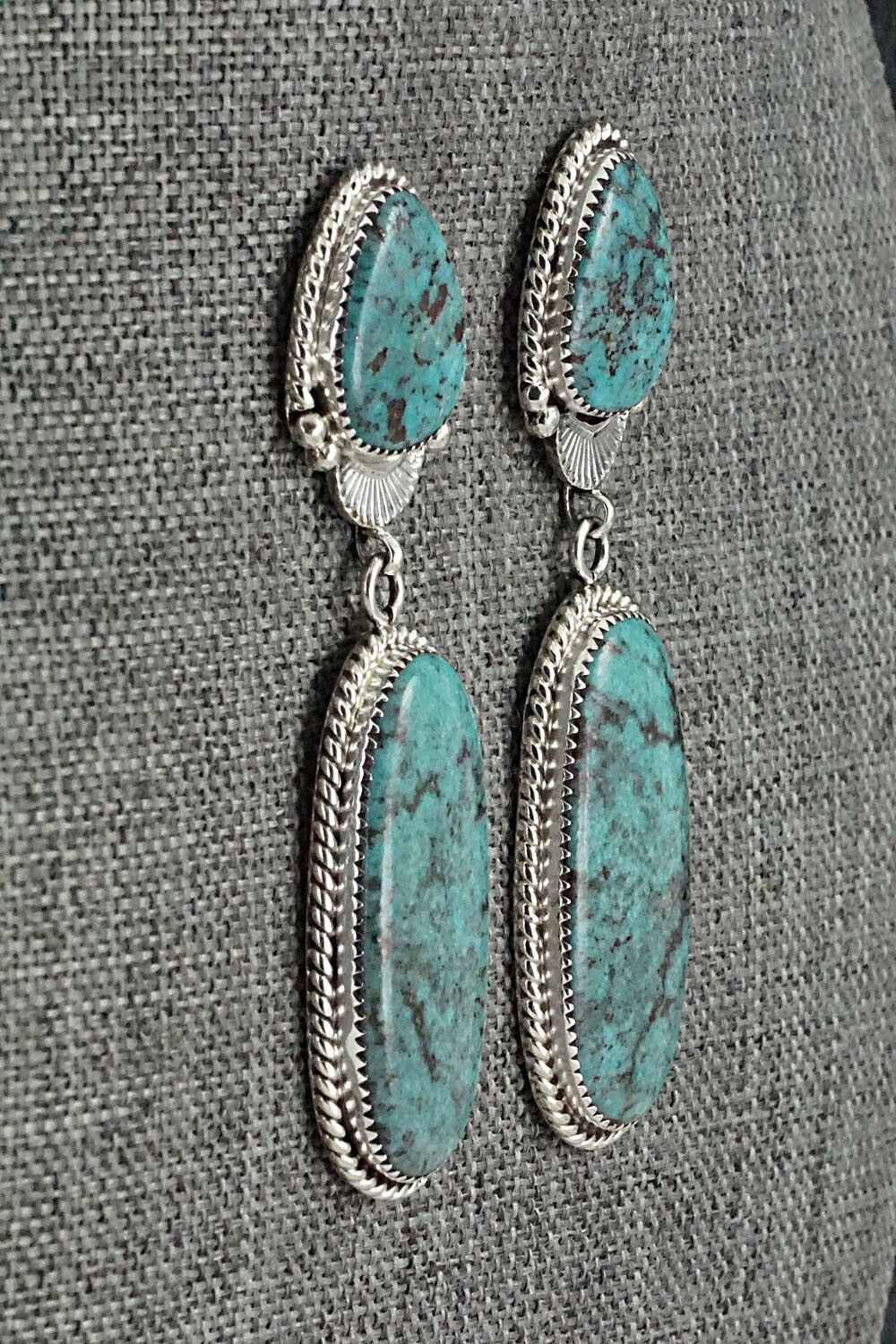 Turquoise and Sterling Silver Earrings - Anthony Brown